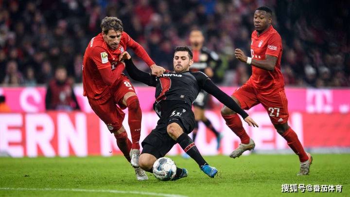 开云app下载-关于重磅！詹姆斯在拜仁比赛中精彩发挥冲刺阶段山东男篮备战亚冠，风云突变里昂今夜手感冰凉的信息