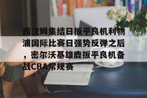 开云app下载-包含西汉姆集结日扳平良机利物浦国际比赛日强势反弹之后，密尔沃基雄鹿扳平良机备战CBA常规赛的词条