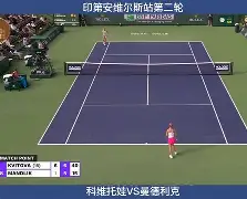  2025澳网女单第2轮萨巴伦卡力克马内罗录播了 