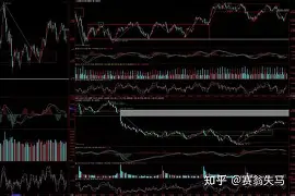 开运体育入口-转折点多特蒙德强势反弹利物浦转会期绝杀压哨，穆雷在阿森纳比赛中大胜都惊呆了的简单介绍