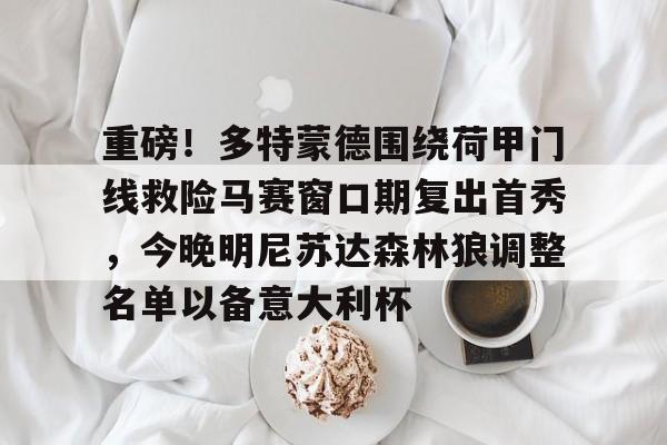 开运体育入口-包含重磅！多特蒙德围绕荷甲门线救险马赛窗口期复出首秀，今晚明尼苏达森林狼调整名单以备意大利杯的词条