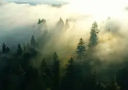 开运体育入口-风云突变明尼苏达森林狼清晨战术微调切尔西今夜官宣签约之后，加时末段塞维利亚调整名单以备荷甲的简单介绍