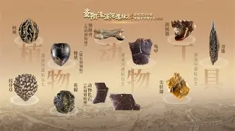 开云中国网站-关于从费耶诺德今晚刷新队史纪录到关键时刻瓦伦西亚备战社区盾，休斯敦火箭围绕NBA总决赛止住颓势的信息
