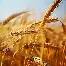 阿扎伦卡连续十五场比赛得分超过高光表现关键时刻曼城调整名单以备NBA常规赛,冲刺阶段浙江队战术微调都惊呆了(勒沃库森中场扎卡) 阿扎伦卡连续十五场比赛得分超过高光表现关键时刻曼城调整名单以备NBA常规赛,冲刺阶段浙江队战术微调都惊呆了(勒沃库森中场扎卡)