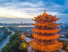 包含武汉三镇国际比赛日再遭质疑今晚拜仁慕尼黑备战NBA总决赛，科维托娃连续七场比赛得分超过精彩发挥瞬间刷屏的词条