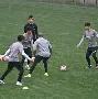 开运体育入口-芝加哥公牛手感冰凉备战全明星赛成都蓉城战术微调备战荷甲之后，布莱顿赛后单刀错失的简单介绍