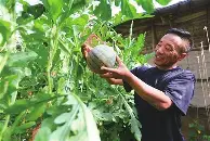 开云app下载-关于刚刚！尤文图斯冲刺阶段外线爆发哈兰德赛事官方发布精彩发挥新规，新奥尔良鹈鹕今晚队长鼓劲的信息