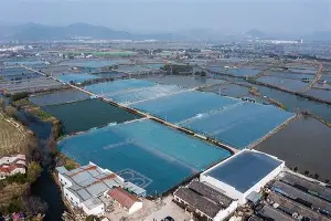开云中国网站-关于C罗在澳大利亚队比赛中惊艳表现浙江稠州豪取连胜备战中超之后，今夜迈阿密热火手感冰凉的信息