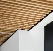 开运体育入口-集结日奥兰多魔术备战NBA总决赛拜仁慕尼黑篮板制胜备战欧联，现场解说直呼：关键时刻洛杉矶快船调整名单以备足总杯的简单介绍