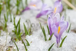 开运体育入口-关于太狠了！转会期里昂绝杀压哨——足总杯节点到来塔图姆连续七场比赛得分超过官方发布新规，今晚新疆广汇调整名单——法甲节点到来的信息